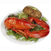 Audresselles Lobster