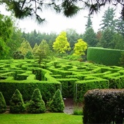 Van Dusen Botanical Gardens