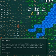 Caves of Qud