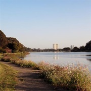 Berkeley, California