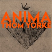 Thom Yorke, Anima