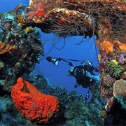 Curacao Marine Park, Curacao