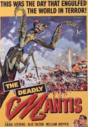 The Deadly Mantis