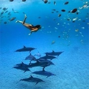 Bimini Island, Bahamas