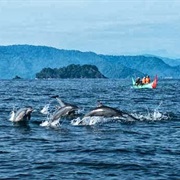 Teluk Kiluan, Lampung