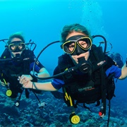 Complete Open Water Dive Certification