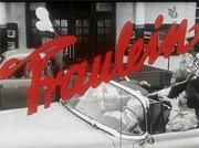 Fraulein - Ein Deutsches Melodram (TV Movie)