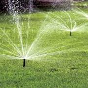 Lawn Sprinkler