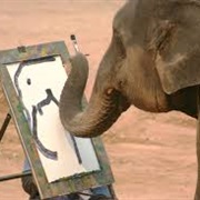 Draw or Paint a Picture a Day