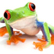 A Frog in Your Throat