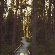 Blue Lake Provincial Park