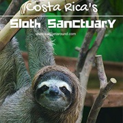 Visiting the Sloths of Central & South America