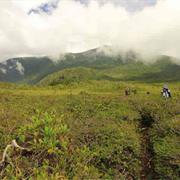 Mount Hamiguitan Range Wildlife Sanctuary