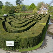 Hampton Court Maze