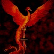 Phoenix