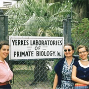 Yerkes Primate Institute