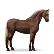 Canadian Horse - Flaxen Liver Chestnut