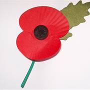 Remembrance Sunday