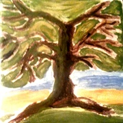 Tree of Life Angelina Jensen