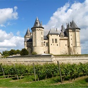 Markets & Vineyards of France's Loire Valley