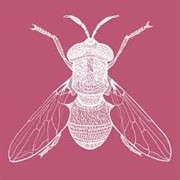 Black Flies Ben Howard