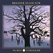 Brighter Death Now-  Necrose Evangelicum