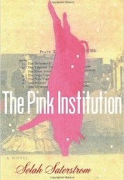 The Pink Institution (Selah Saterstrom)