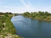 American River Bluffs and Phoenix Park Vernal Pools (California)