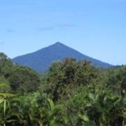 Mowbray National Park (QLD)