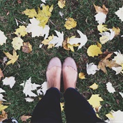 Listen to the Sound of Leaves Under Your Feet