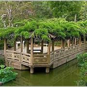 Classical Gardens of Suzhou, China