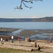 Dash Point State Park, Washington