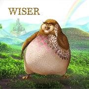 Wiser