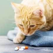 Ditch Unnecessary Medication