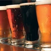 Take a Beer Tasting Tour