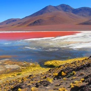 Laguna Colorada, Bolivia