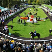 Salisbury Racecourse