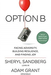 Option B (Sheryl Sandberg &amp; Adam Grant)
