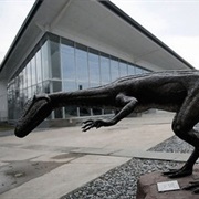 Museum of the Earth, Ithaca, New York