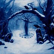 Sombres Forêts - Royaume De Glace