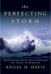 The Perfecting Storm (Angel H. Davis)