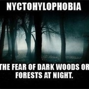 Nyctohylophobia