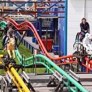 Steeplechase (Blackpool Pleasure Beach, England)