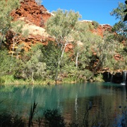 Fern Pool, Dale's Gorge, Karajini