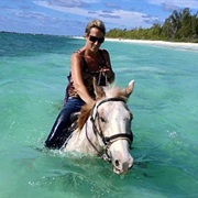 Ride Horse in Ocean