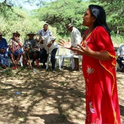 Pütchipü'üi Diplomacy, Colombia