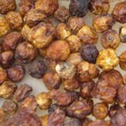 Bush Tomato