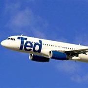 TED Airlines