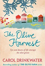 The Olive Harvest (Carol Drinkwater)
