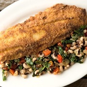 Spotted Seatrout (Cynoscion Nebulosus)